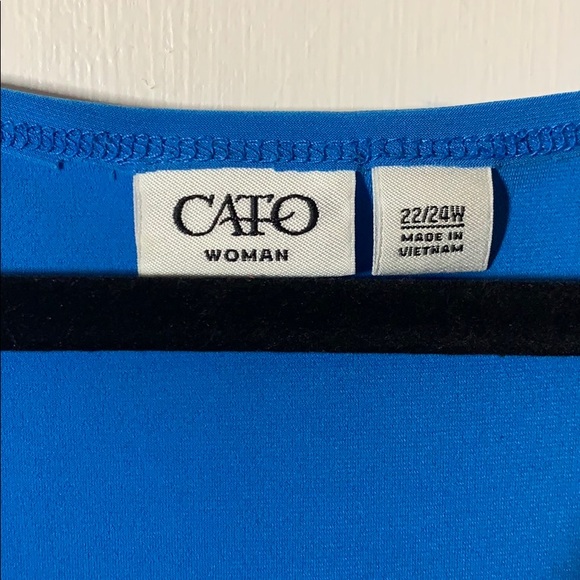 Cato Blue Scoop/Draped Neck Tank - Picture 2 of 5